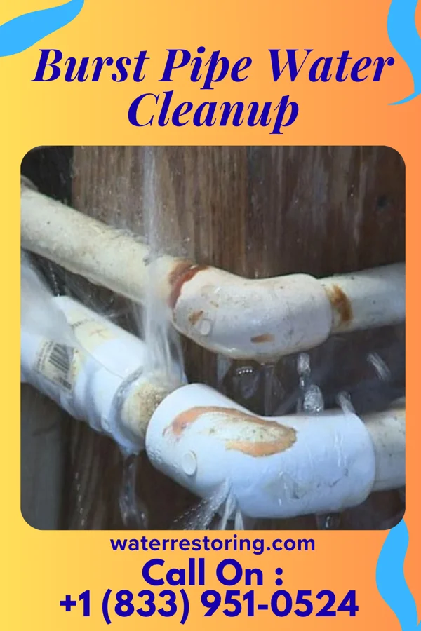 Burst Pipe Water Cleanup in St. Paris, OH