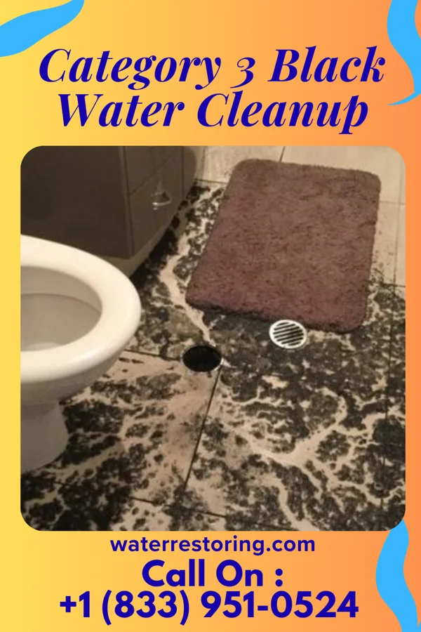 Category 3 Black Water Cleanup in St. Paris, OH