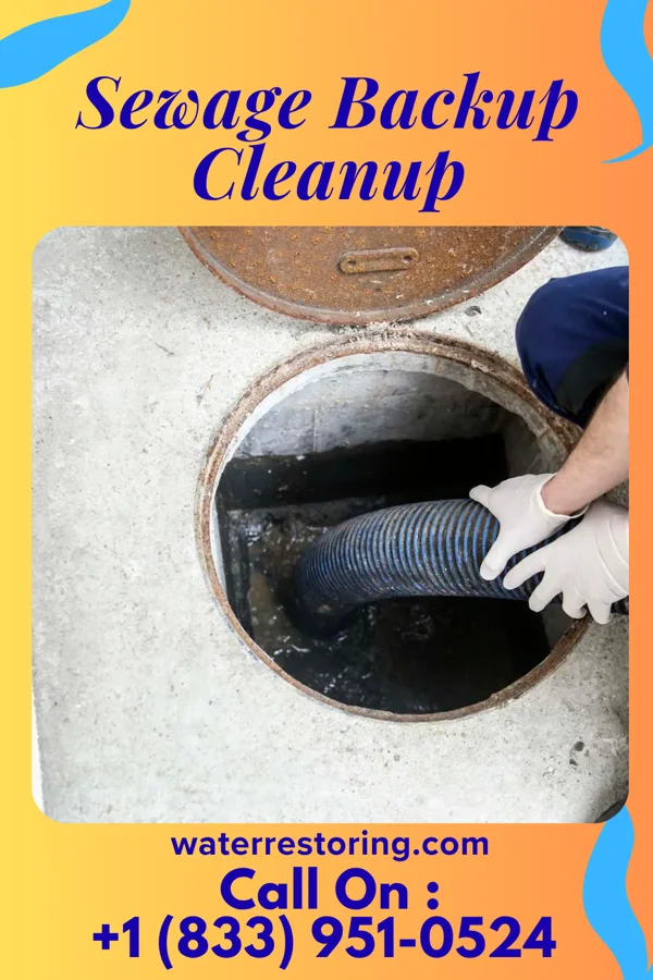 Sewage Backup Cleanup in St. Paris, OH