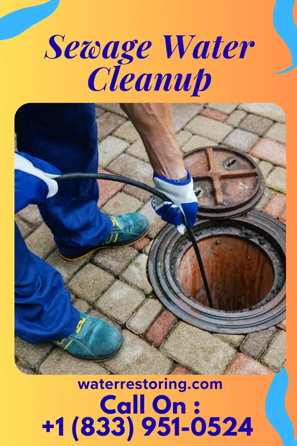 Sewage Water Cleanup in St. Paris, OH