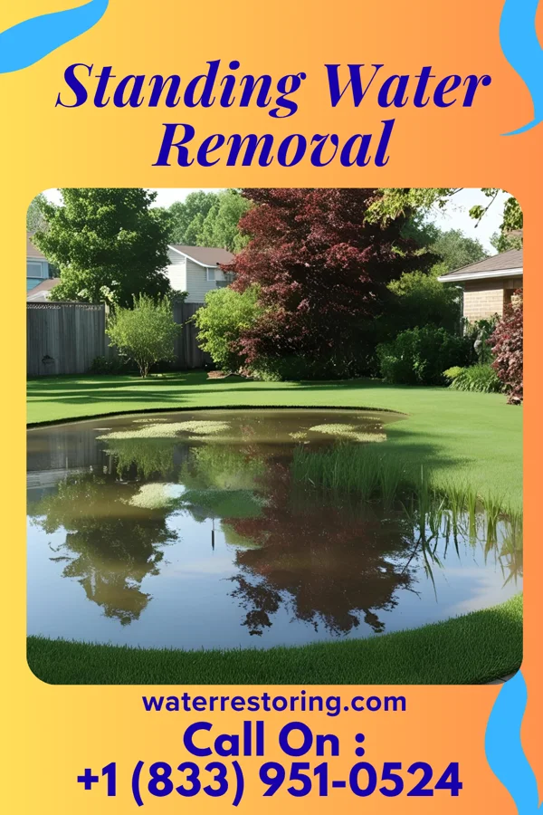 Standing Water Removal in St. Paris, OH